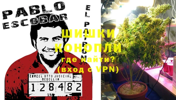 стафф Куйбышев