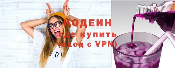 стаф Кулебаки