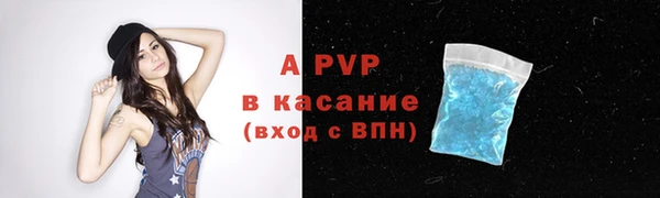 стаф Кулебаки