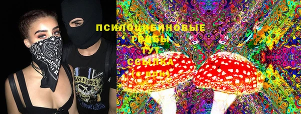 стаф Кулебаки