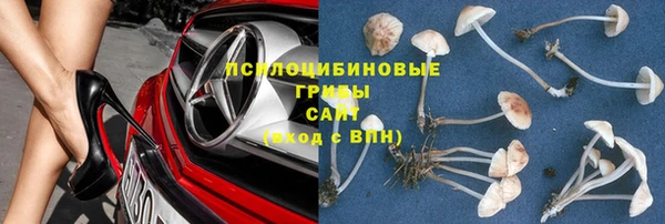 стаф Кулебаки