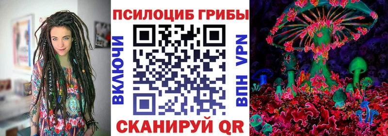 Псилоцибиновые грибы Psilocybe закладки Холмск